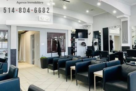 Salon de Coiffure Professionnel à Vendre